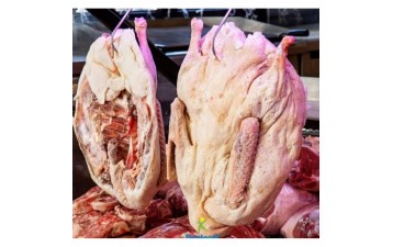 Kars Kazı Ortalama 2.5 Kg 3 Kg