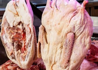 Kars Kazı Ortalama 2.5 Kg 3 Kg