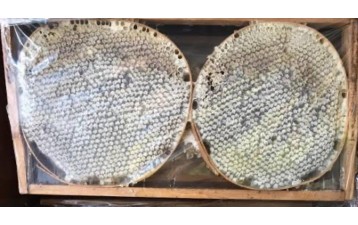 Karakovan Balı Tam Çerçeve 3 Kg