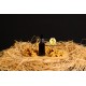 Propolis 20 Gr 