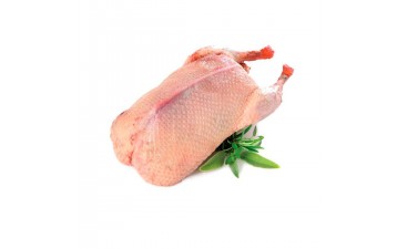 Kars Kazı Ortalama 2.5 Kg 3 Kg